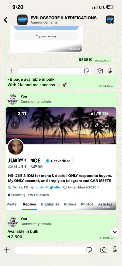 EVILOGSTORE WhatsApp listing
