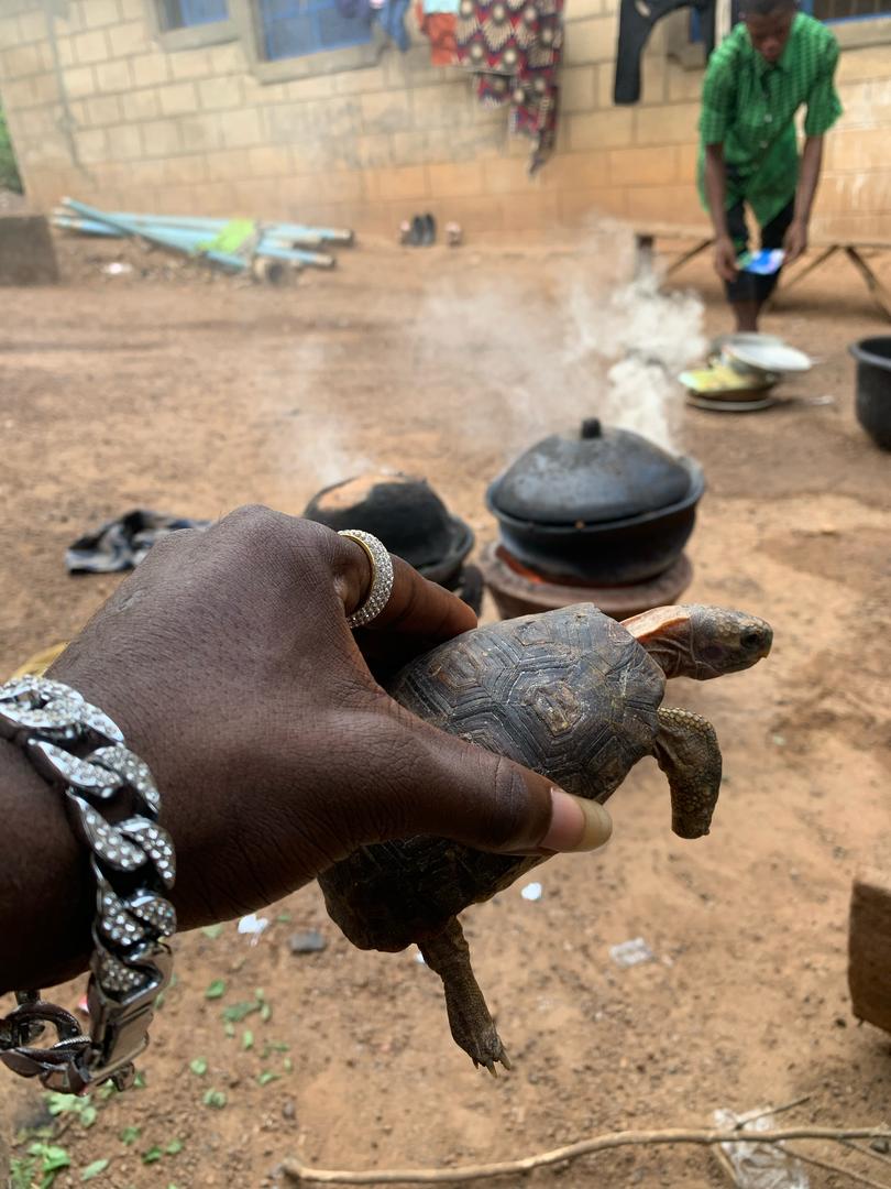 Sheik kehuyemih cash