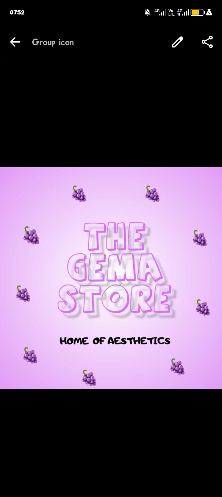 THE GEMA STORE